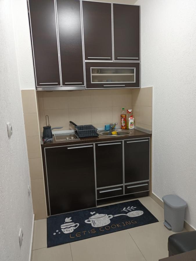 Apartman Romantic Vrnjačka Banja エクステリア 写真