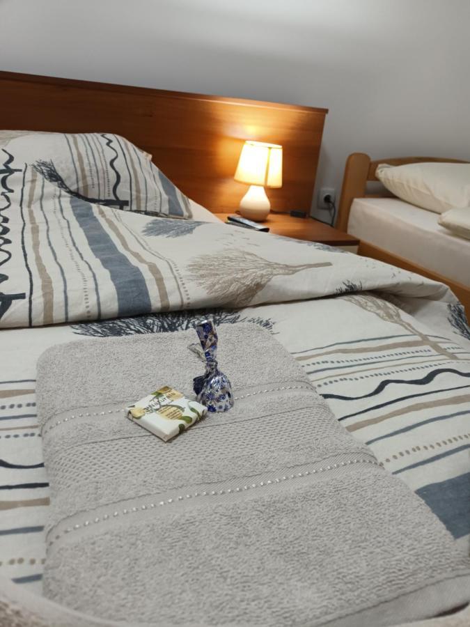 Apartman Romantic Vrnjačka Banja エクステリア 写真